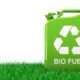 The Green Revolution: Biofuels and Biomass Energy