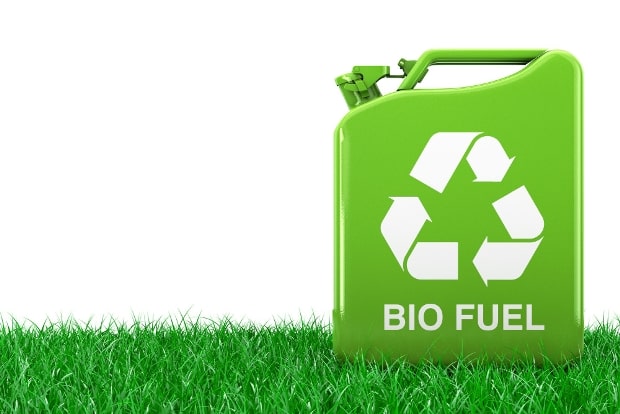 The Green Revolution: Biofuels and Biomass Energy