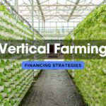 Vertical Farming Funding: Insider Tips