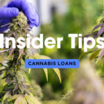 Insider Tips for Cannabis Business Loans