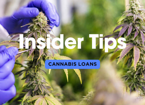 Insider Tips for Cannabis Business Loans