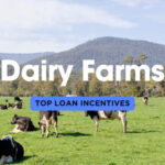 Loan Incentives for Dairy Farms