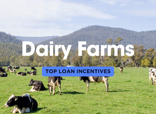 Loan Incentives for Dairy Farms