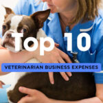 Top 10 Veterinarian Business Expenses that can be Financed