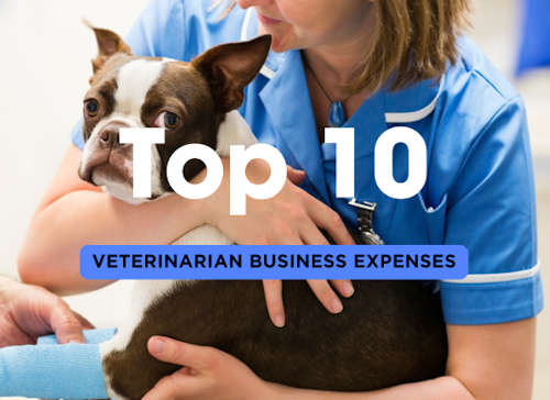 Top 10 Veterinarian Business Expenses that can be Financed