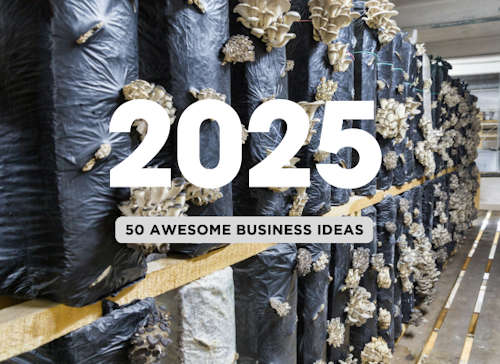 50 Trending and Highly Profitable Businesses to Start in 2025