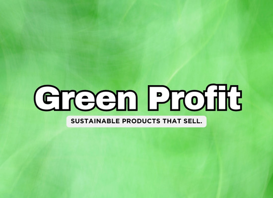 Eco-Friendly and Profitable: The Top 25 Sustainable Products to Watch