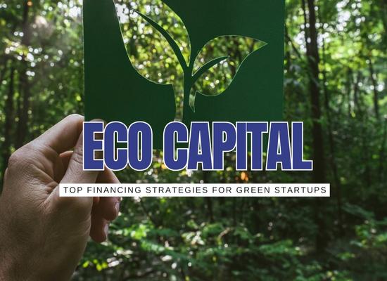 Top 8 Ways to Fund Your Eco-Friendly Startup