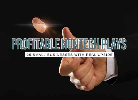 25 Nontech Small Businesses With Real Profit Potential