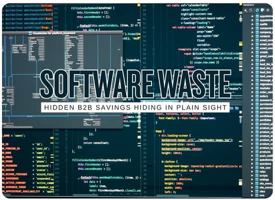 Software Waste Is Becoming a Business Opportunity for Smart B2B Founders